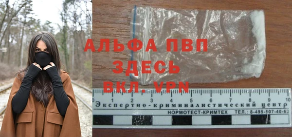 прущий лед Карпинск