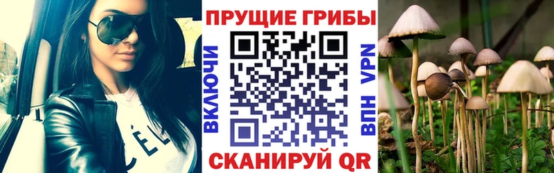 где купить наркотик  ОМГ ОМГ tor  Псилоцибиновые грибы мицелий  Кинешма 