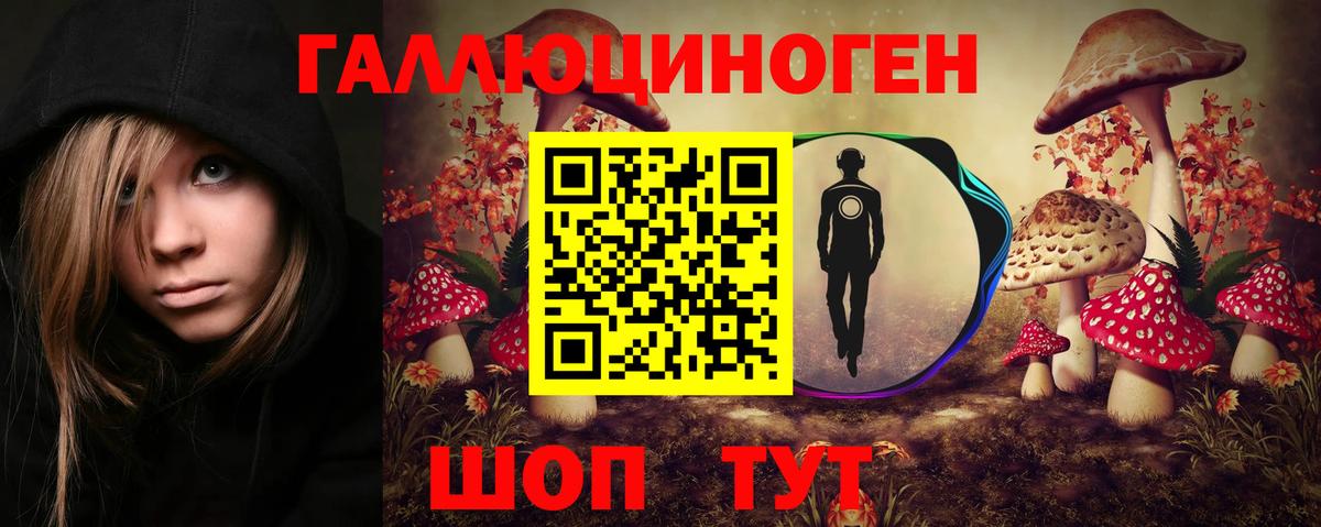 Псилоцибиновые грибы Psilocybine cubensis  Вход с VPN  Кинешма 