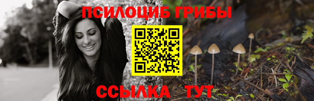 Галлюциногенные грибы GOLDEN TEACHER Кинешма